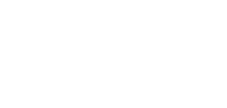 Chaithanin Logo