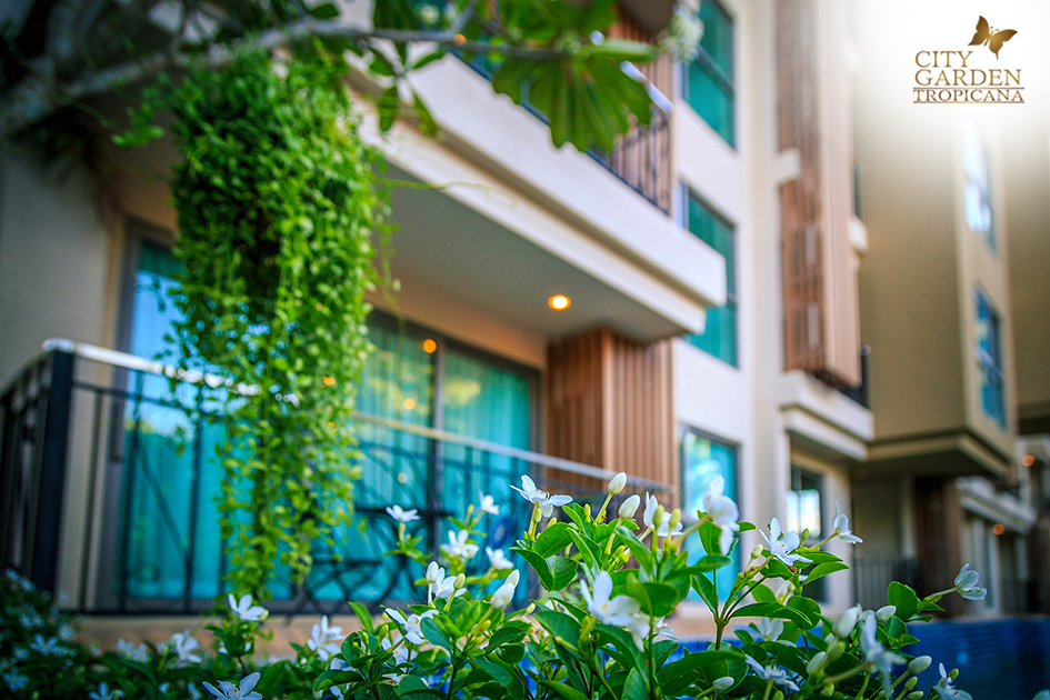 公寓芭堤雅泰国物业出售城市花园热带