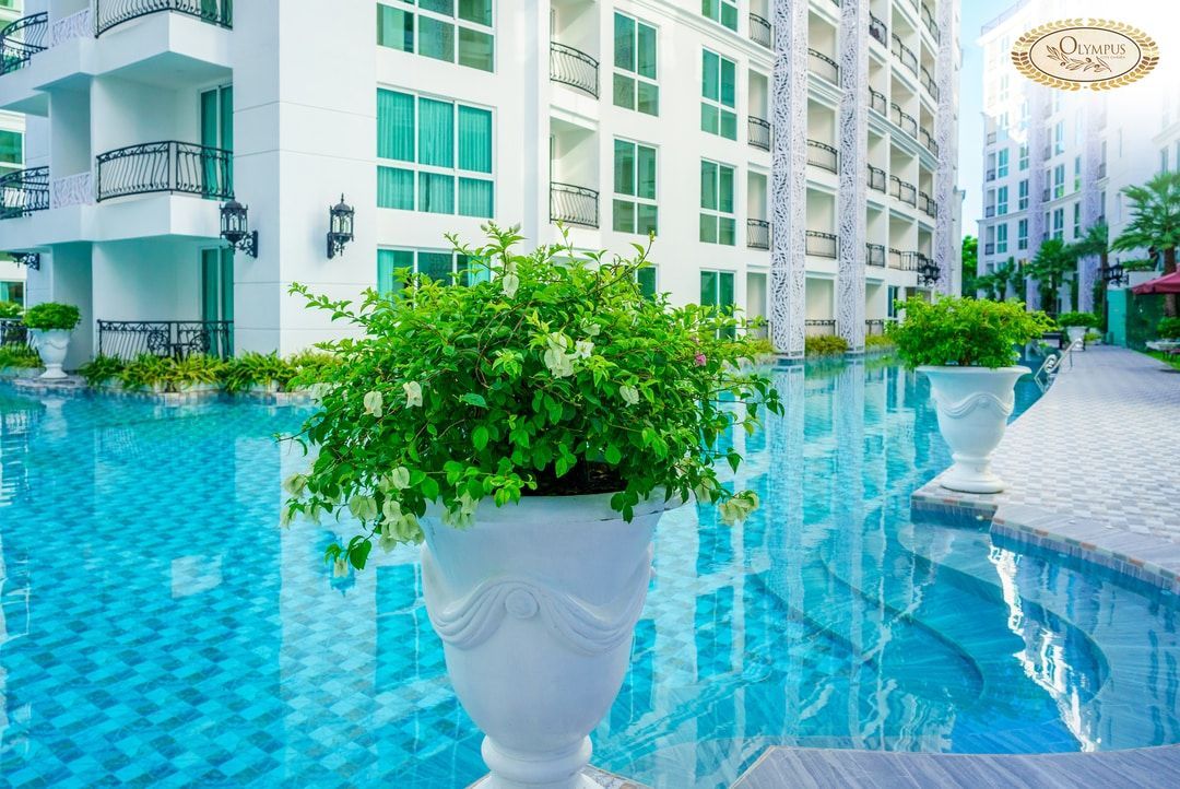 Olympus City Garden Pattaya real estate for sale